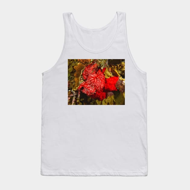 Red Coral Sponge Tank Top by Scubagirlamy